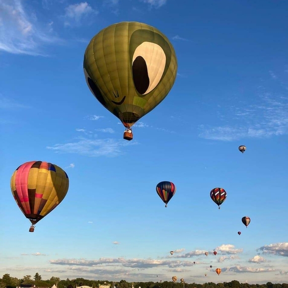 Meet your Posher, Amy - Picture 2 of 4